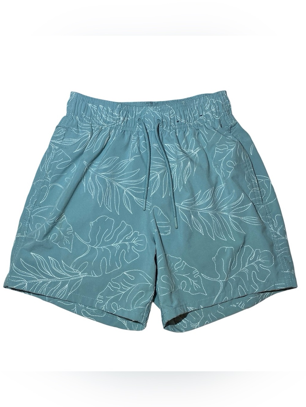 Hollister Swim Trunks